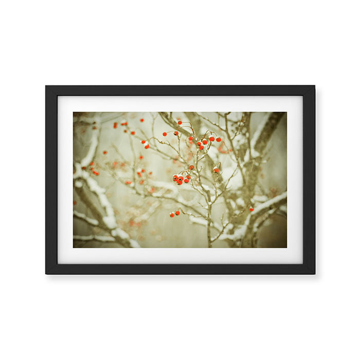 Hawthorne II Framed Art Print Gallery Image 1