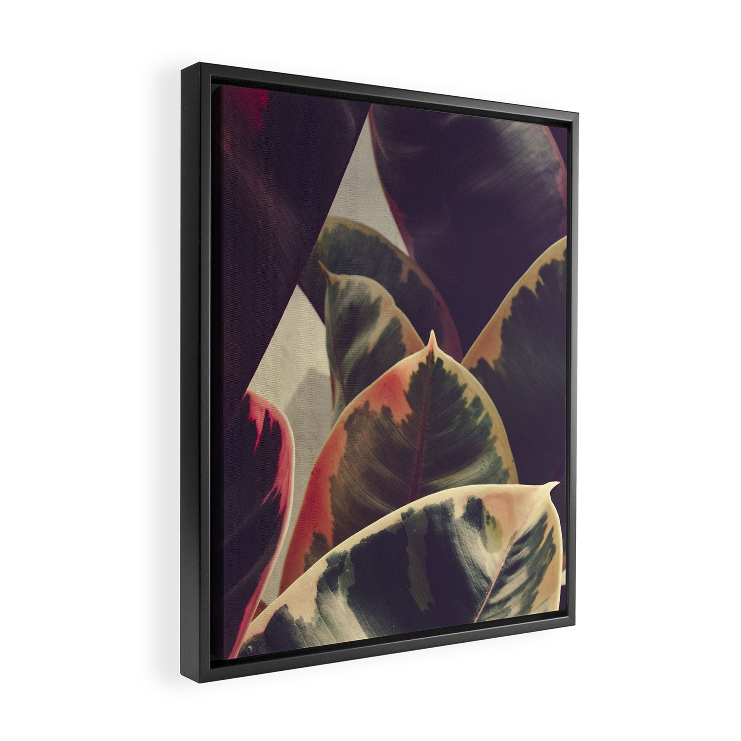 Heart to Heart Framed Canvas Print Gallery Image 2