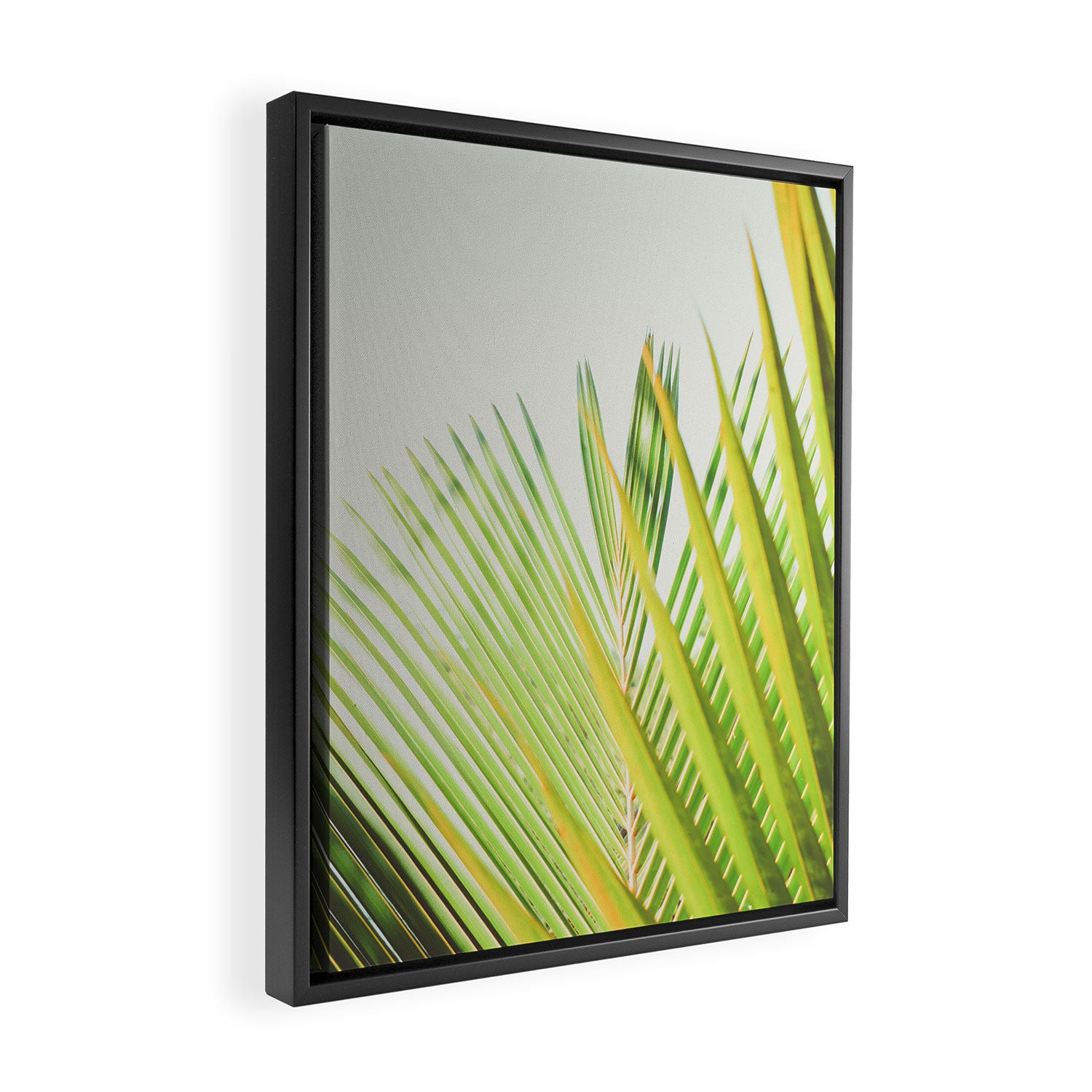 Hello New Day Framed Canvas Print Gallery Image 2