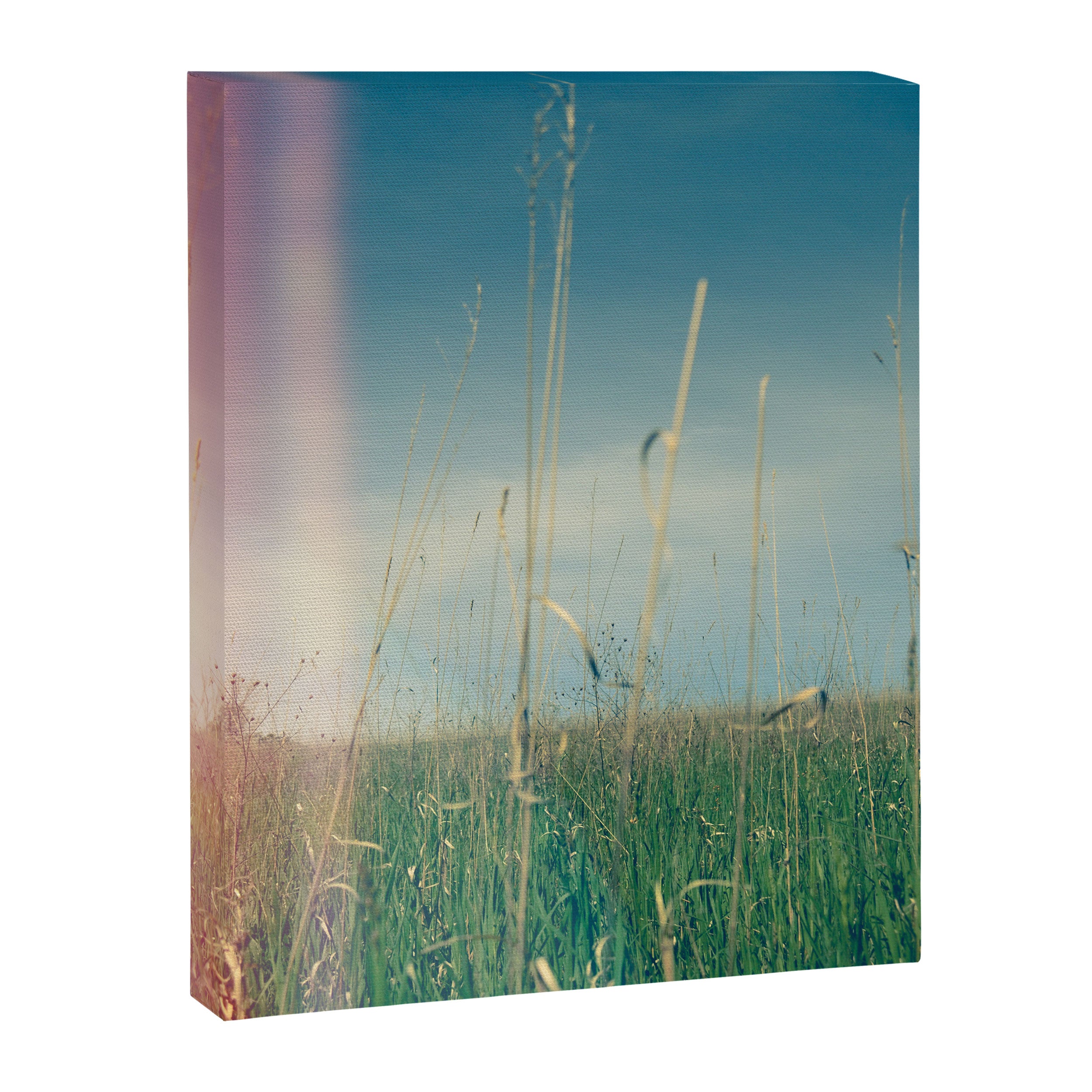 Her Heart Was a Wide Open Landscape Canvas Print Gallery Image 6