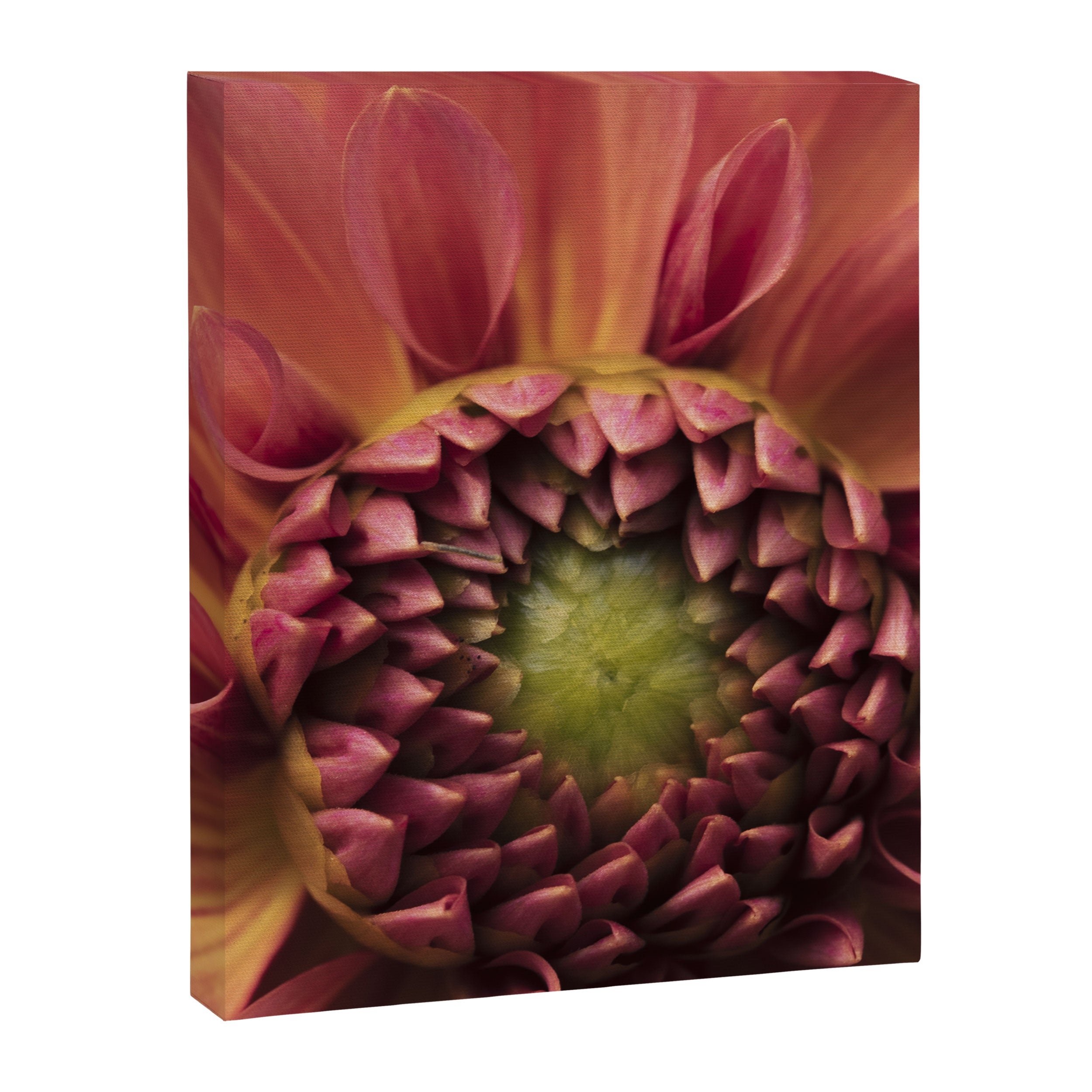 Her Heart Was Ready to Bloom - dahlia photo botanical flower art decor Canvas Print Gallery Image 6