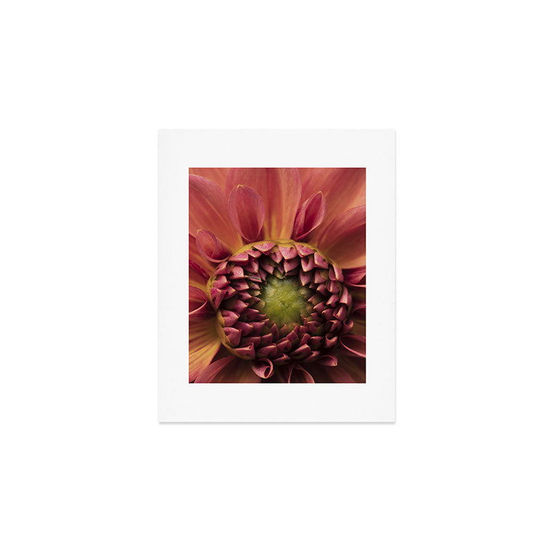 Her Heart Was Ready to Bloom - dahlia photo botanical flower art decor Art Print Gallery Image 1