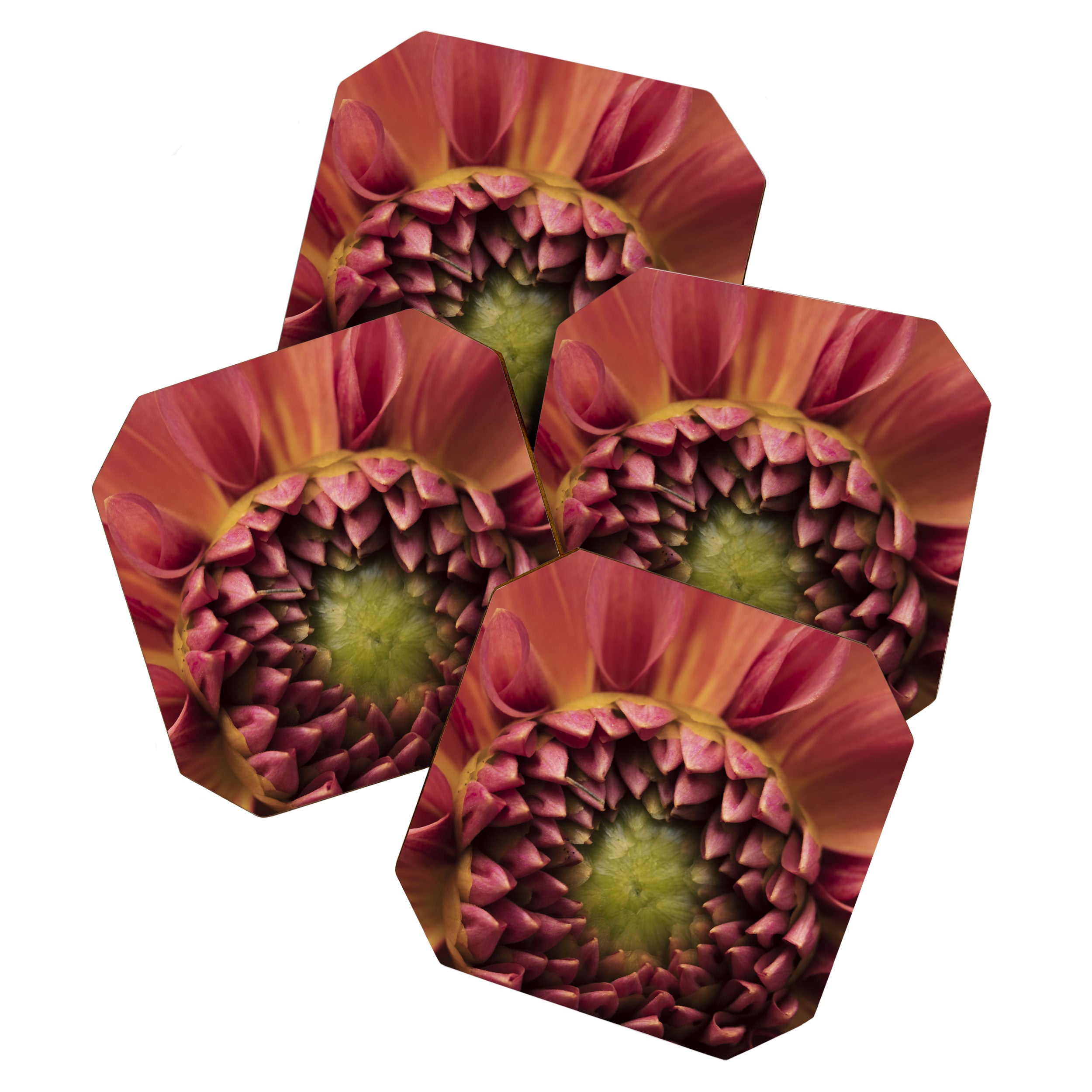 Her Heart Was Ready to Bloom - dahlia photo botanical flower art decor Coaster Gallery Image 1