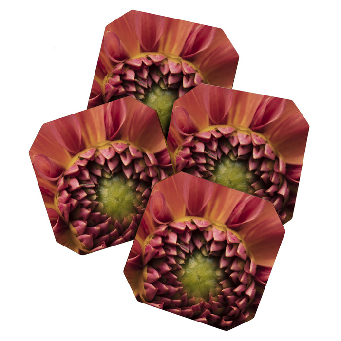 Her Heart Was Ready to Bloom - dahlia photo botanical flower art decor Coaster Gallery Image 1
