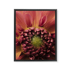 Her Heart Was Ready to Bloom - dahlia photo botanical flower art decor Framed Canvas Print Gallery Image 6