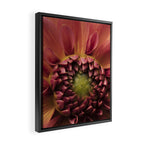 Her Heart Was Ready to Bloom - dahlia photo botanical flower art decor Framed Canvas Print Gallery Image 2