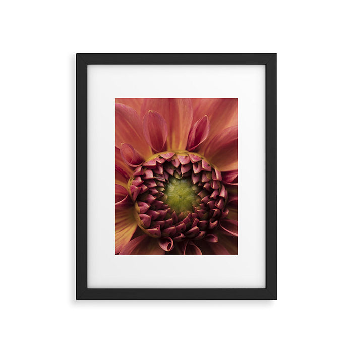 Her Heart Was Ready to Bloom - dahlia photo botanical flower art decor Framed Art Print Gallery Image 1