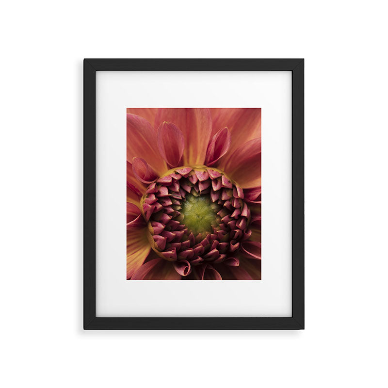 Her Heart Was Ready to Bloom - dahlia photo botanical flower art decor Framed Art Print Gallery Image 5