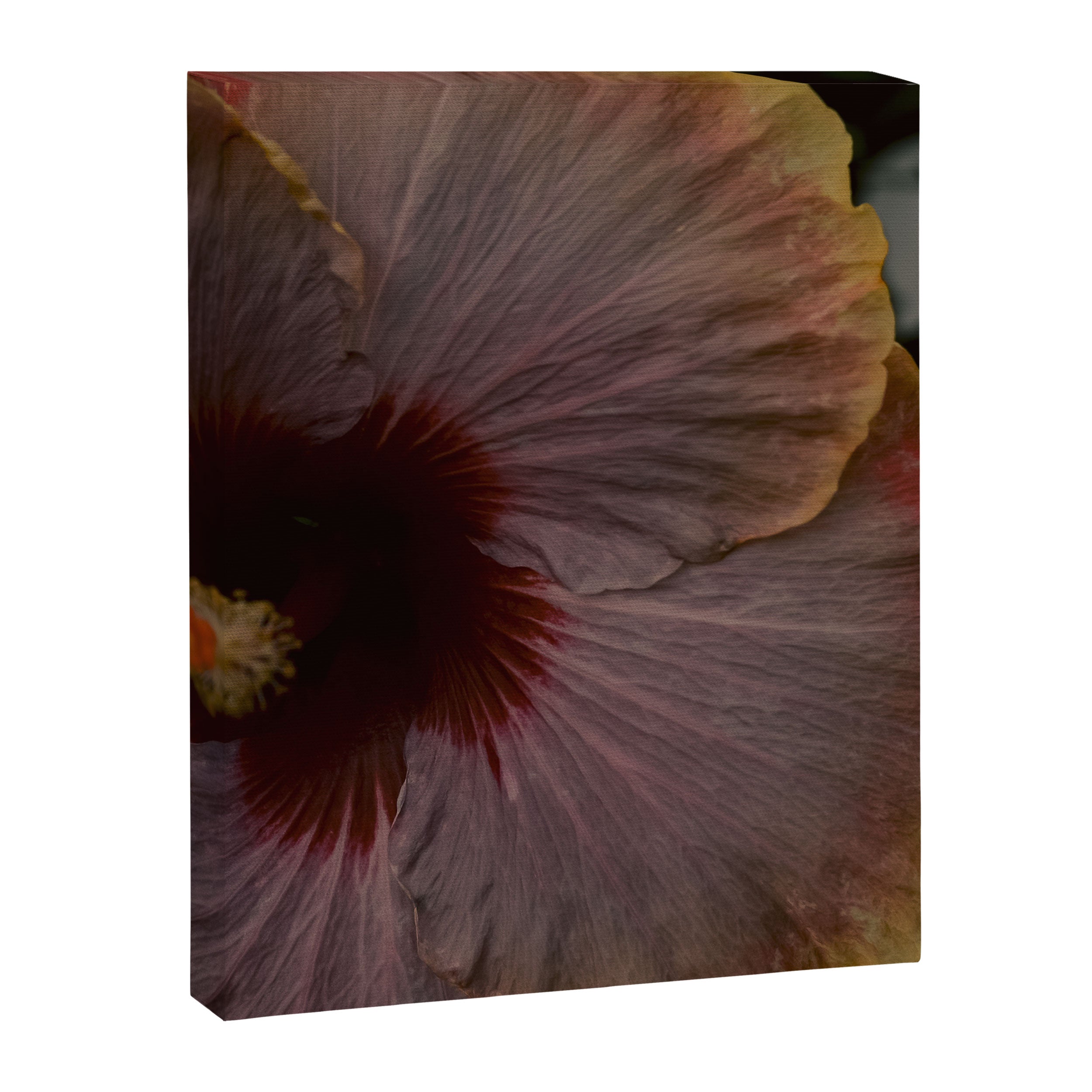hibiscus photograph - floral botanical tropical art Canvas Print Gallery Image 6