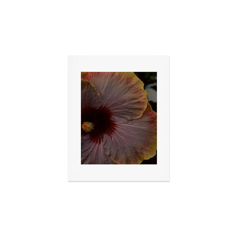 hibiscus photograph - floral botanical tropical art Art Print Gallery Image 1