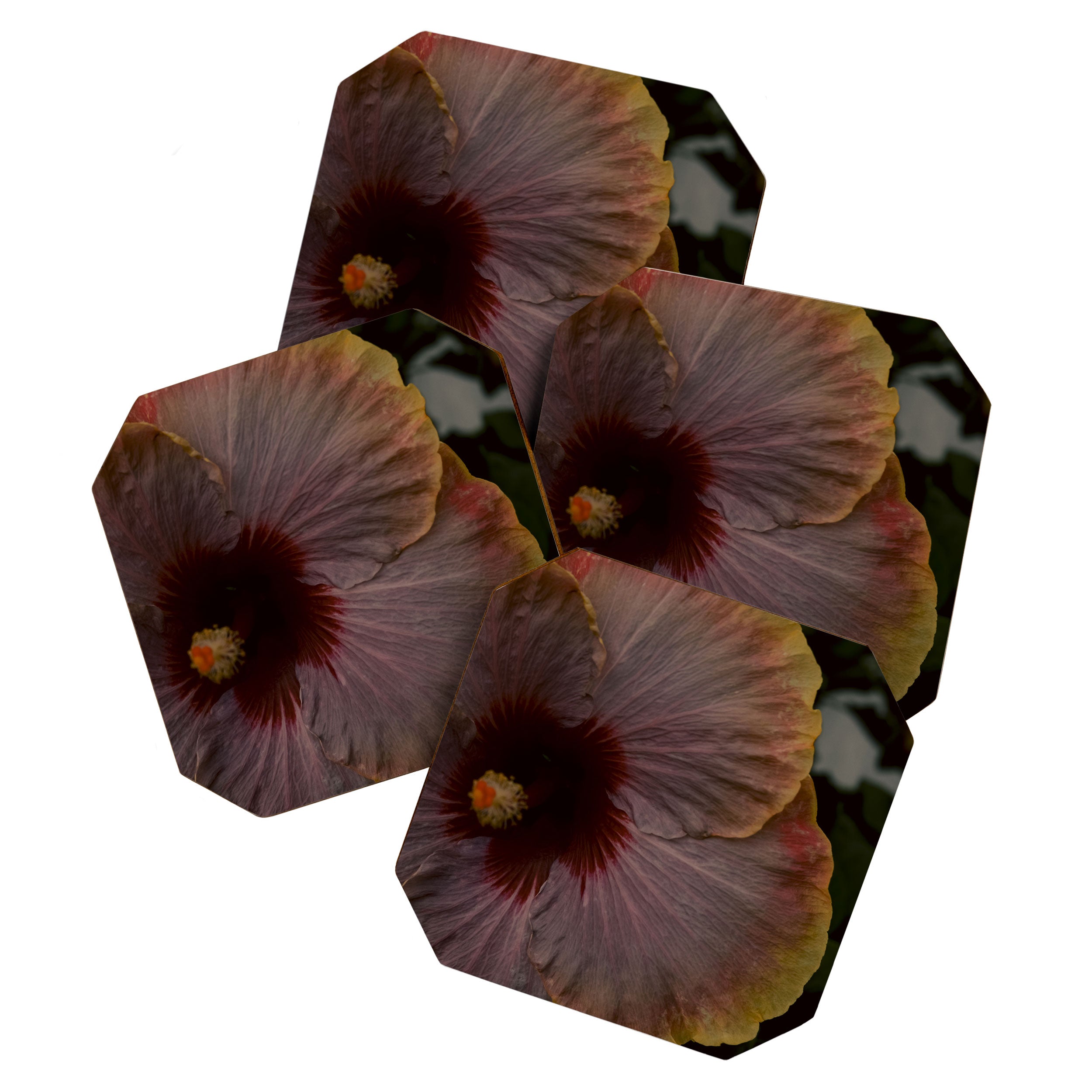 hibiscus photograph - floral botanical tropical art Coaster Gallery Image 1