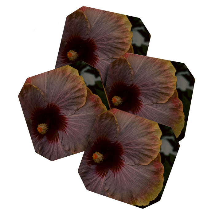 hibiscus photograph - floral botanical tropical art Coaster Gallery Image 1