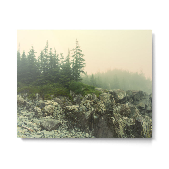 Hiking the Maine Coast Metal Print Gallery Image 1