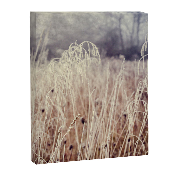 Hoarfrost Study l Canvas Print Gallery Image 1