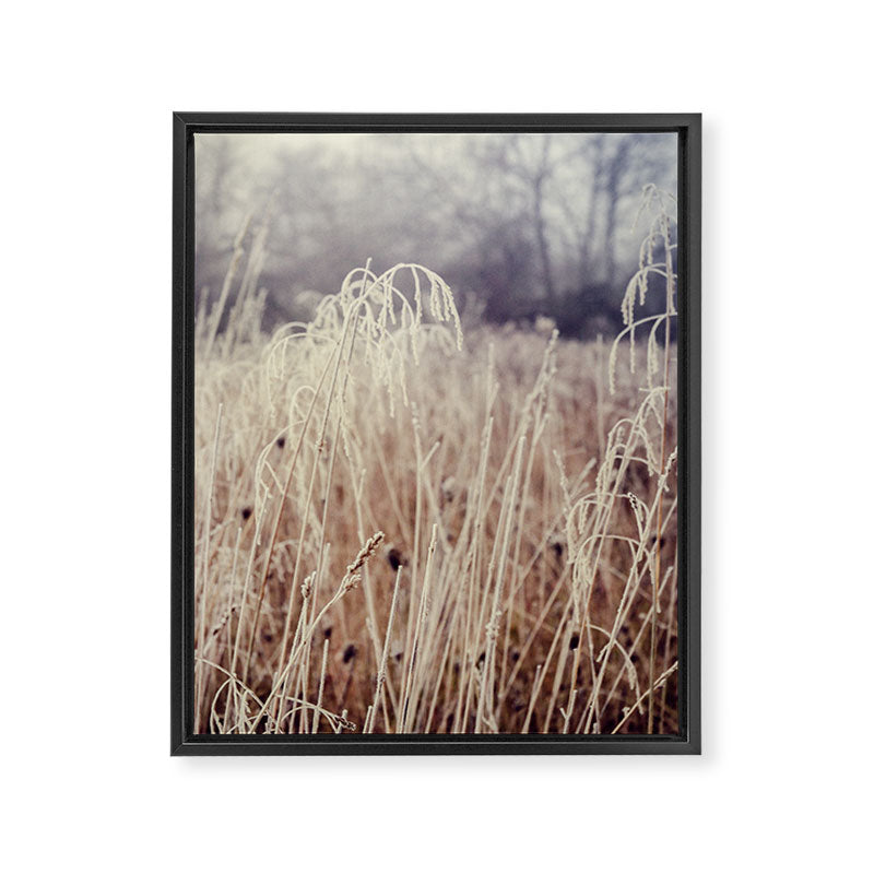 Hoarfrost Study l Framed Canvas Print Gallery Image 6