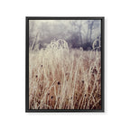 Hoarfrost Study l Framed Canvas Print Gallery Image 6