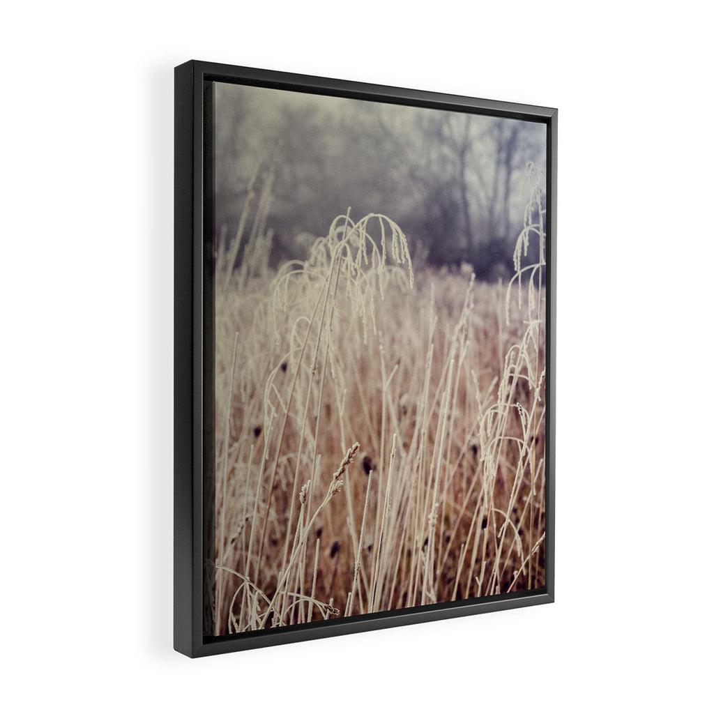 Hoarfrost Study l Framed Canvas Print Gallery Image 2