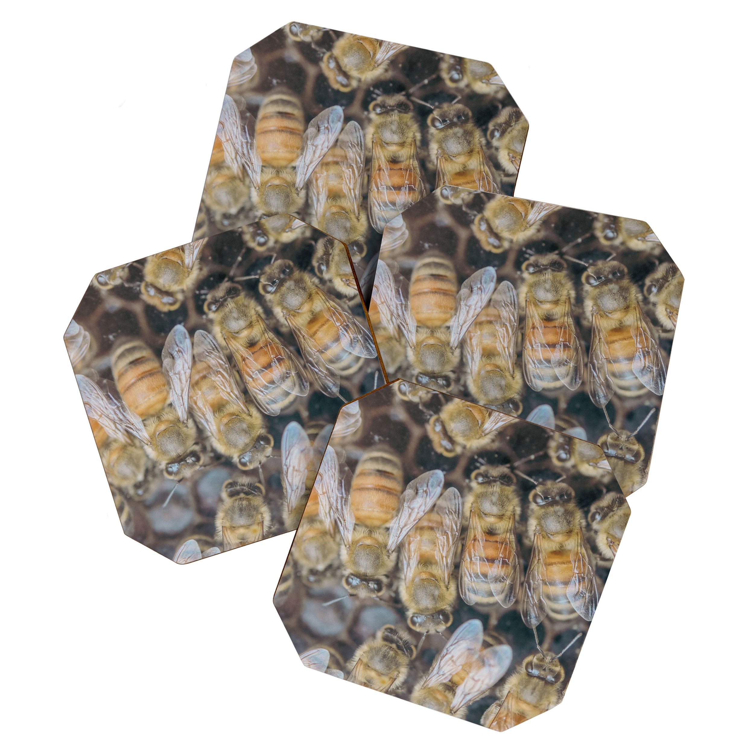 Honeybee Hive x environmental nature bee photograph Coaster Gallery Image 1