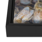 Honeybee Hive x environmental nature bee photograph Framed Canvas Print Gallery Image 3
