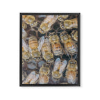 Honeybee Hive x environmental nature bee photograph Framed Canvas Print Gallery Image 6