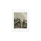 Houseplant 3 - leaf leaves plant botanical modern photograph  Art Print Gallery Image 1