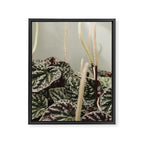 Houseplant 3 - leaf leaves plant botanical modern photograph  Framed Canvas Print Gallery Image 6