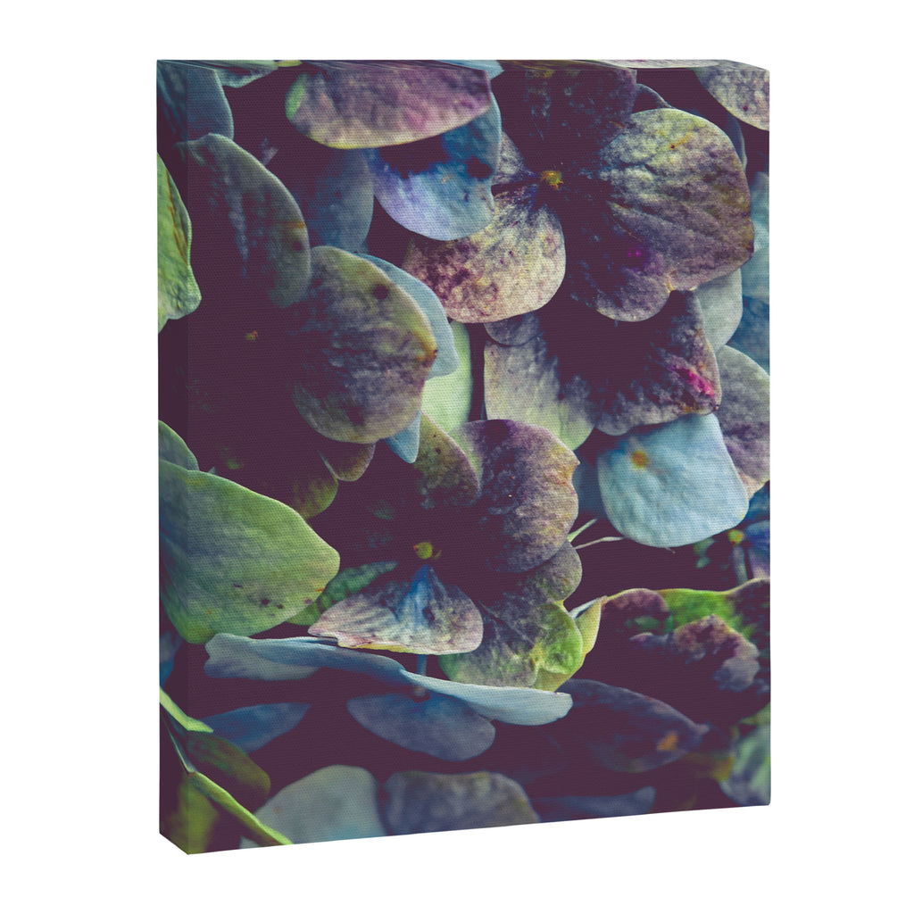 Hydrangea Botanical 1 Canvas Print Gallery Image 6