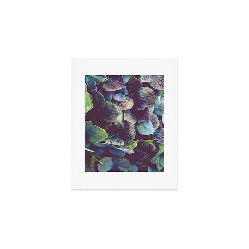 Hydrangea Botanical 1 Art Print Gallery Image 1