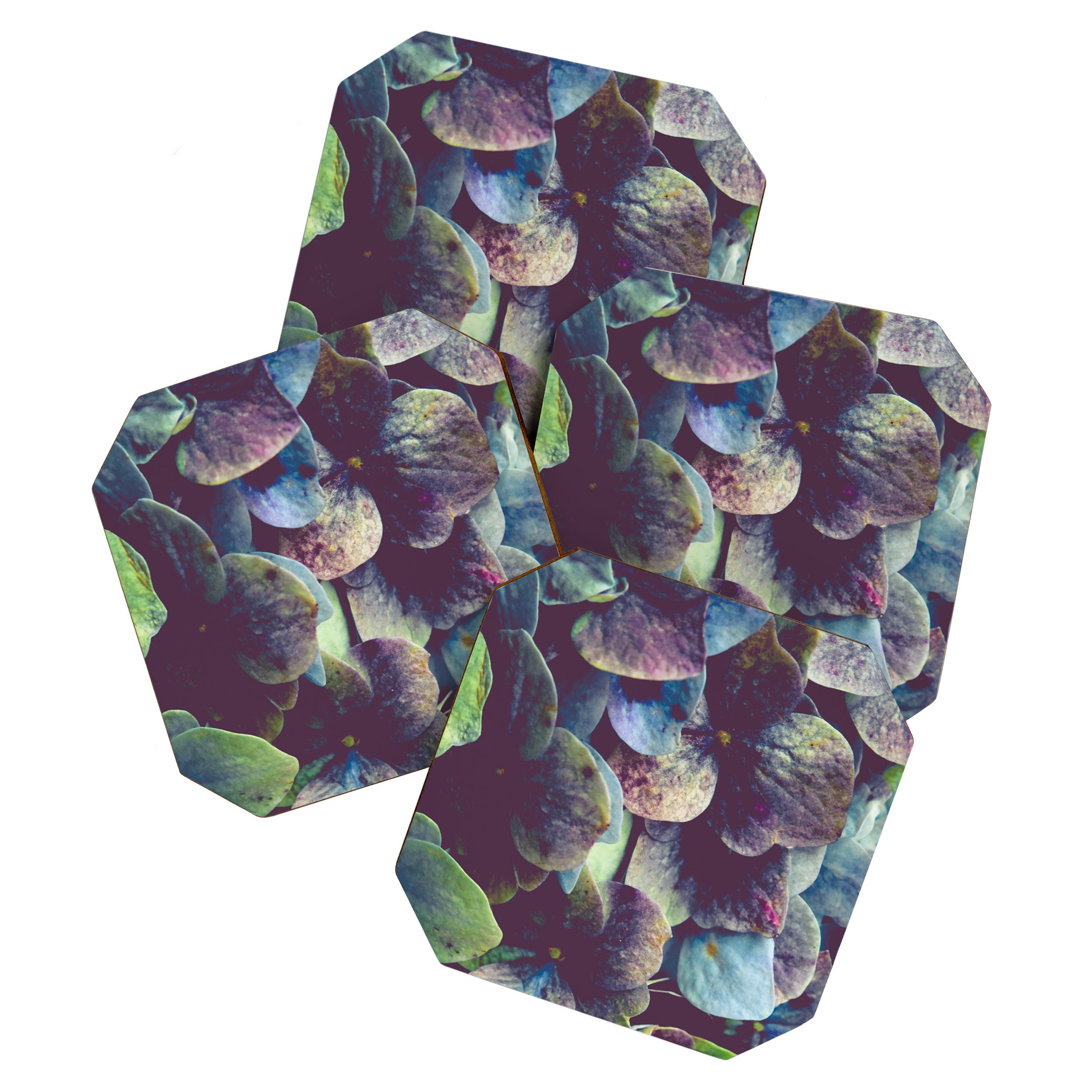 Hydrangea Botanical 1 Coaster Gallery Image 1