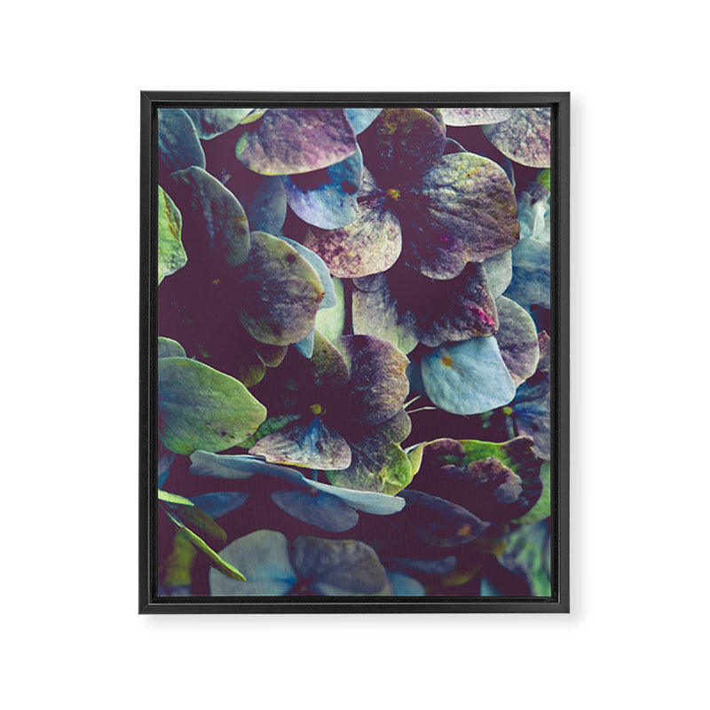 Hydrangea Botanical 1 Framed Canvas Print Gallery Image 6
