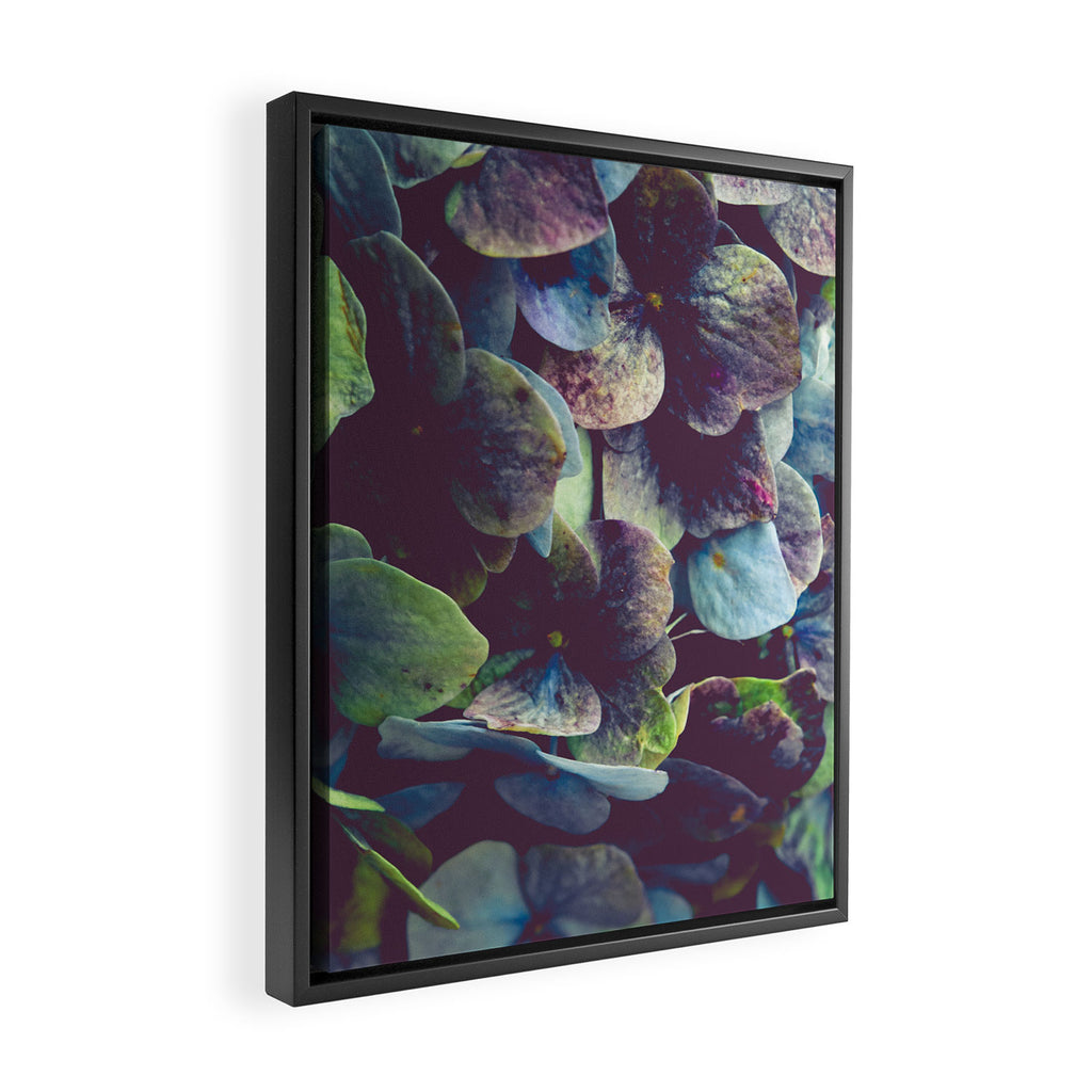 Hydrangea Botanical 1 Framed Canvas Print Gallery Image 2