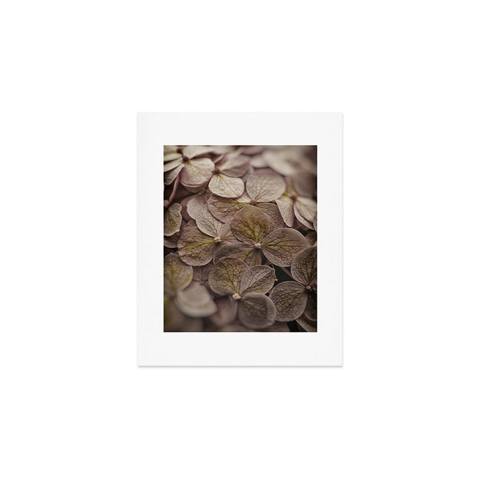 Hydrangea - botanical flower photograph pastel purple Art Print Gallery Image 1
