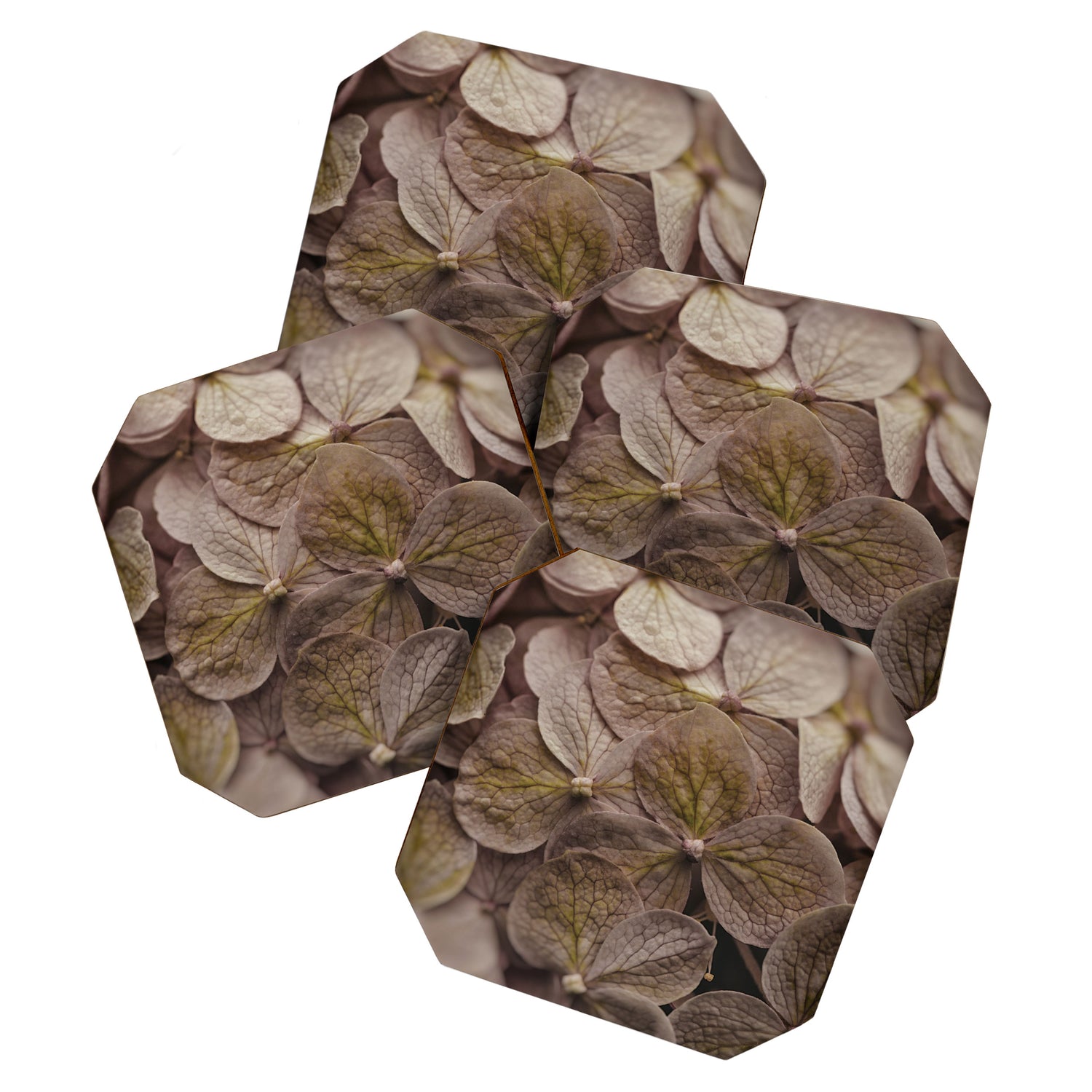 Hydrangea - botanical flower photograph pastel purple Coaster Gallery Image 1