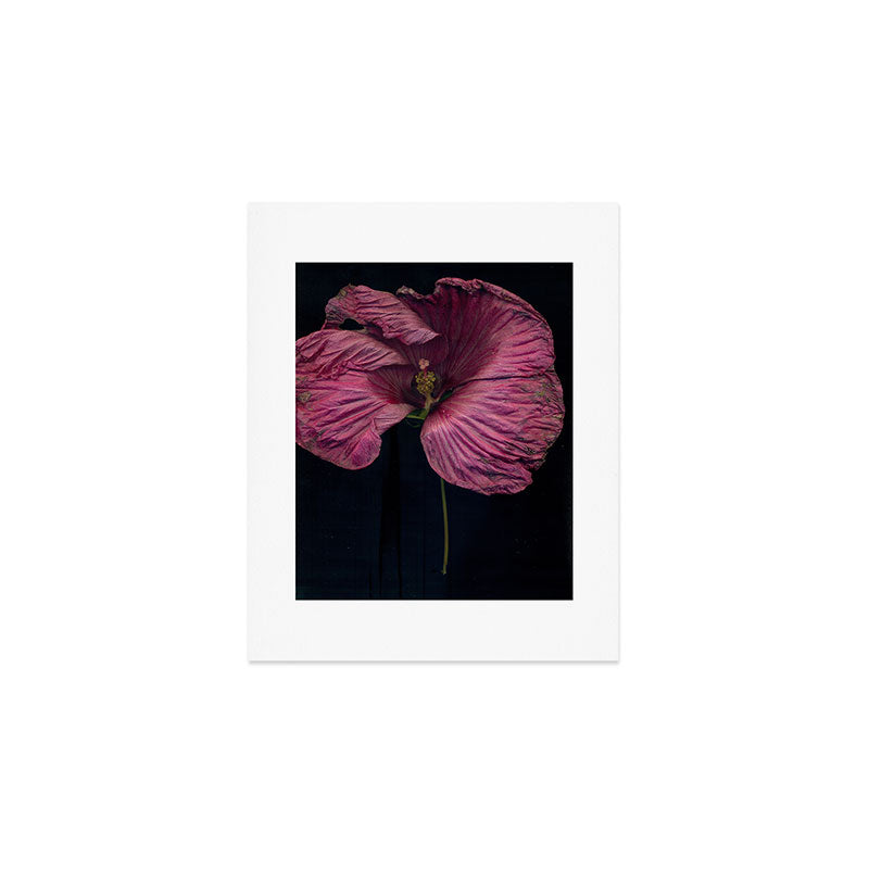 Imperfections Moody Botanical Pink Flower Photograph Art Print Gallery Image 1