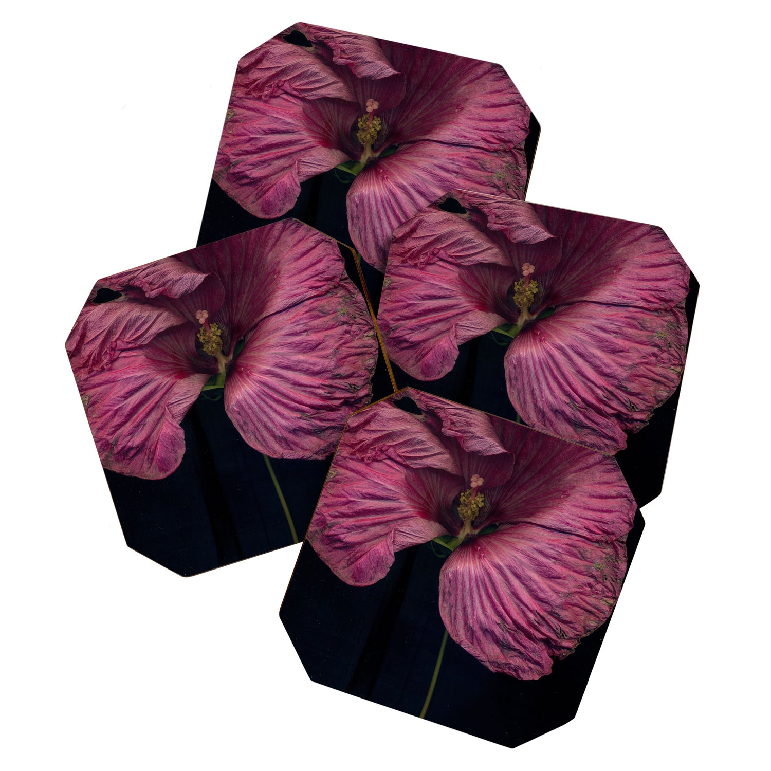 Imperfections Moody Botanical Pink Flower Photograph Coaster Gallery Image 1