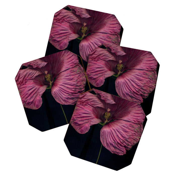 Imperfections Moody Botanical Pink Flower Photograph Coaster Gallery Image 1