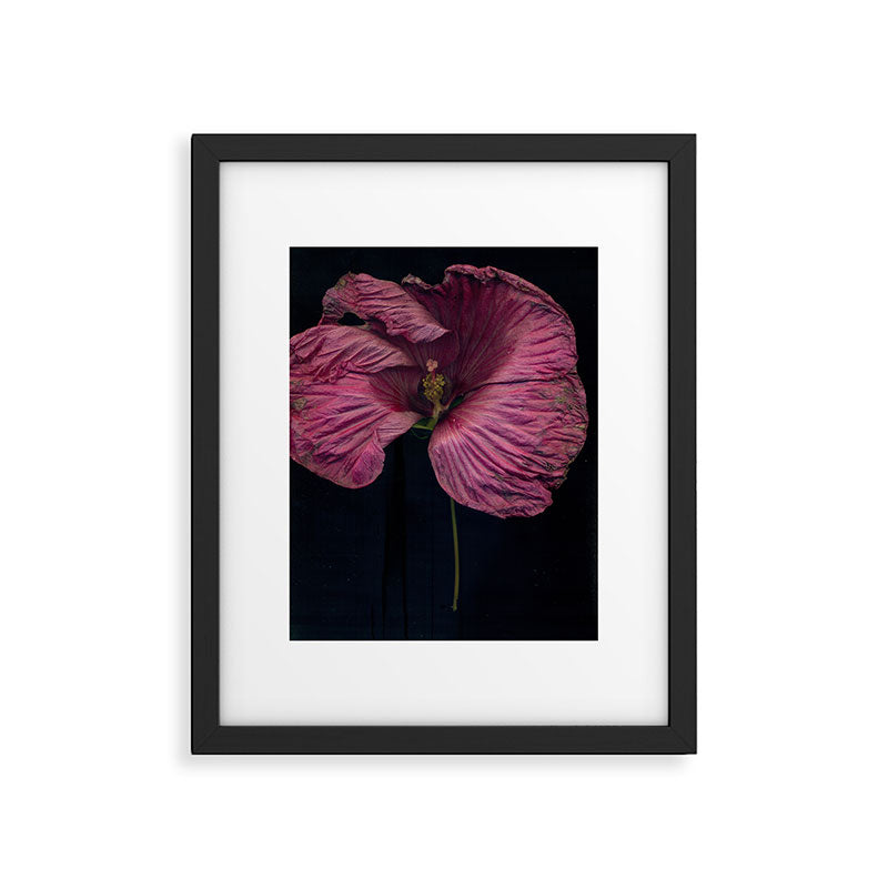 Imperfections Moody Botanical Pink Flower Photograph Framed Art Print Gallery Image 5