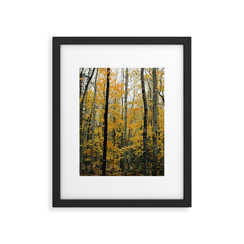 in the autumn forest - trees season nature photograph fall color Framed Art Print Gallery Image 5