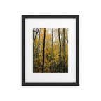 in the autumn forest - trees season nature photograph fall color Framed Art Print Gallery Image 5
