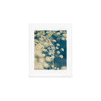 Indigo Dill Botanical Study 2 Art Print Gallery Image 1