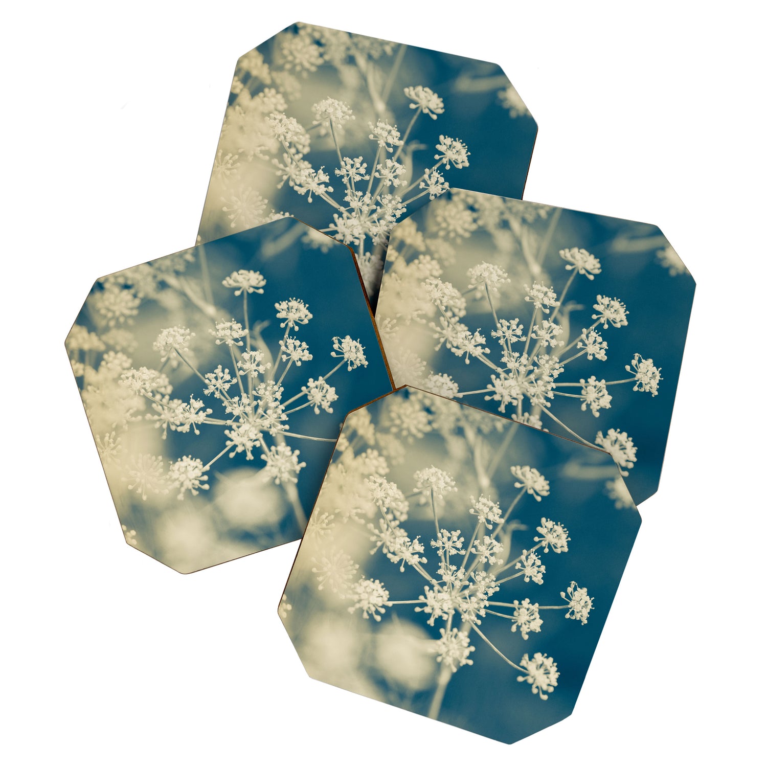 Indigo Dill Botanical Study 2 Coaster Gallery Image 1