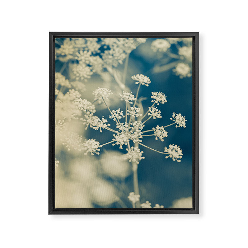 Indigo Dill Botanical Study 2 Framed Canvas Print Gallery Image 6