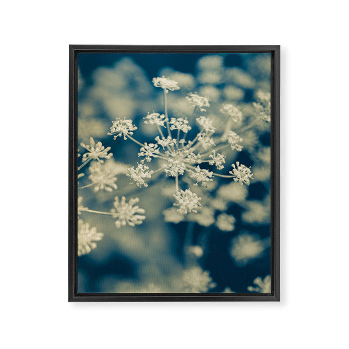 Indigo Dill Botanical Study Framed Canvas Print Gallery Image 1