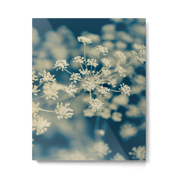 Indigo Dill Botanical Study Metal Print Gallery Image 1