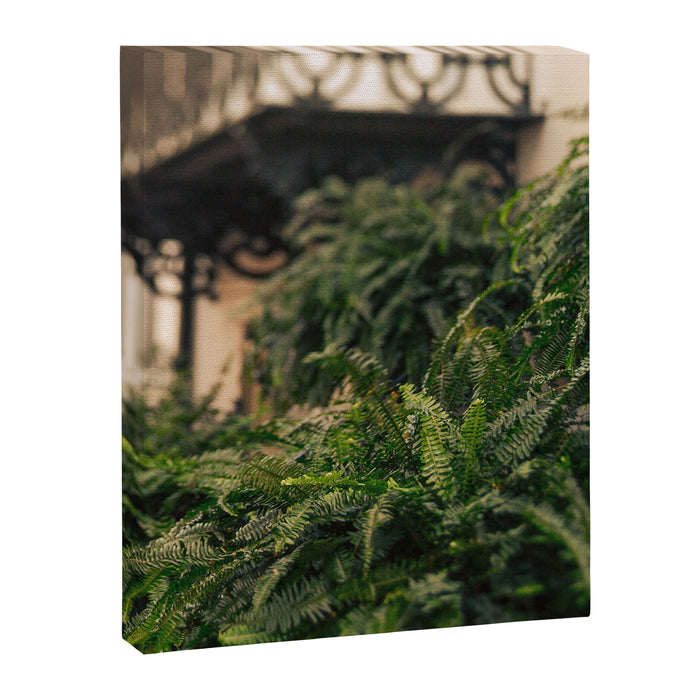 Informal Affair Canvas Print Gallery Image 1