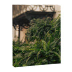 Informal Affair Canvas Print Gallery Image 6
