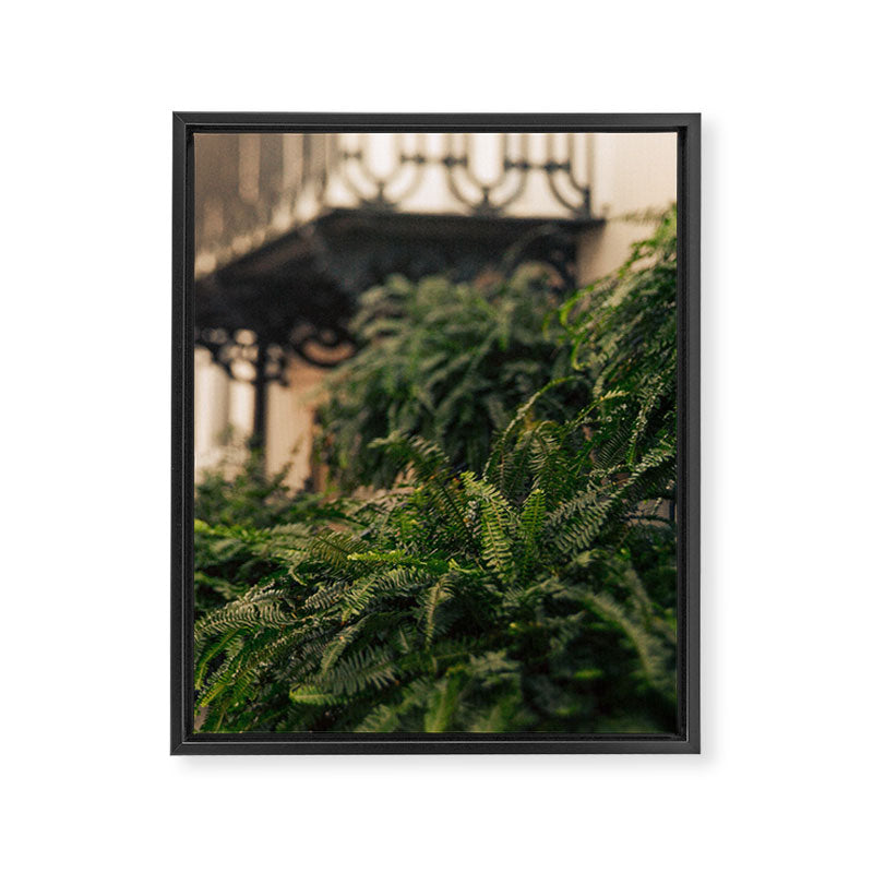 Informal Affair Framed Canvas Print Gallery Image 6
