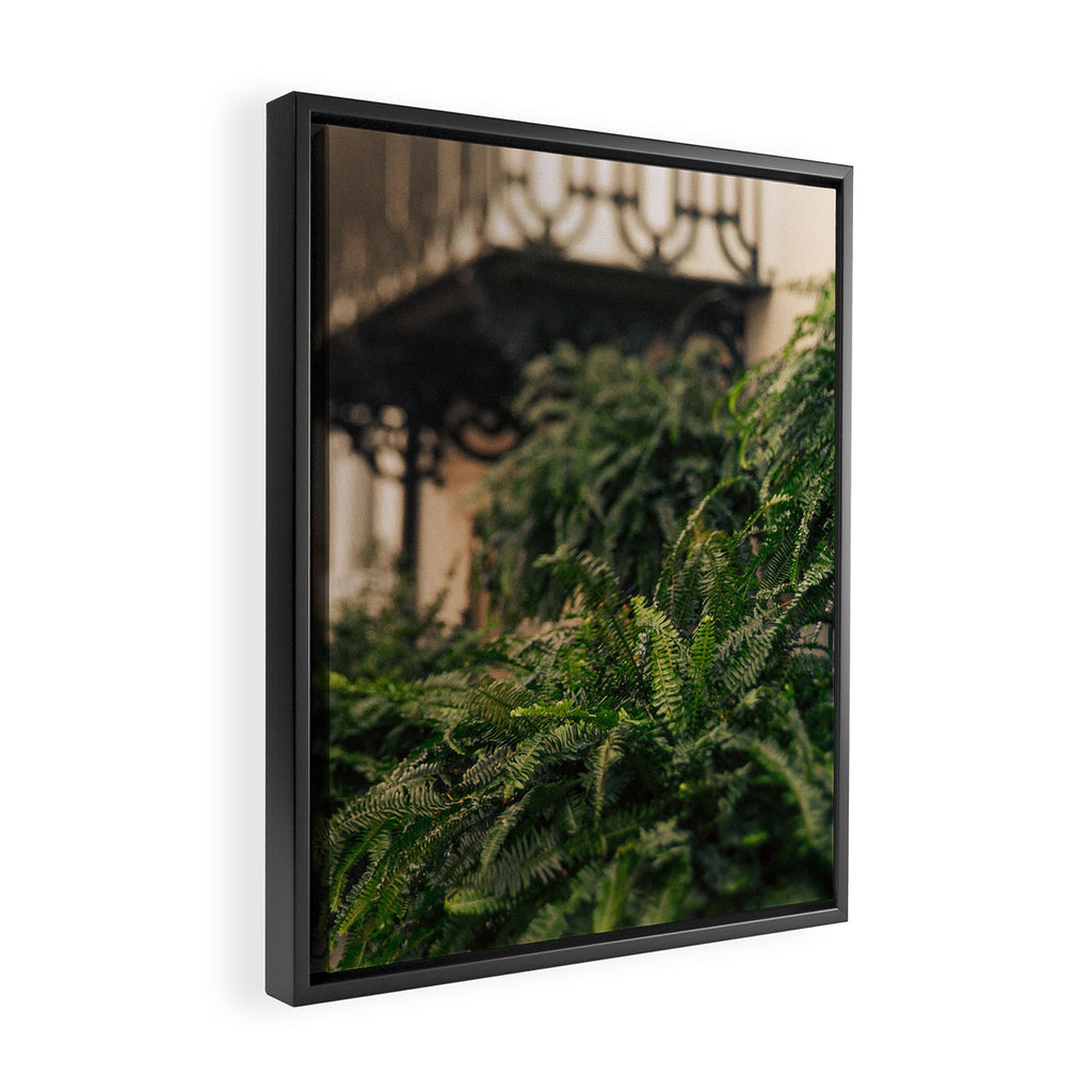 Informal Affair Framed Canvas Print Gallery Image 2