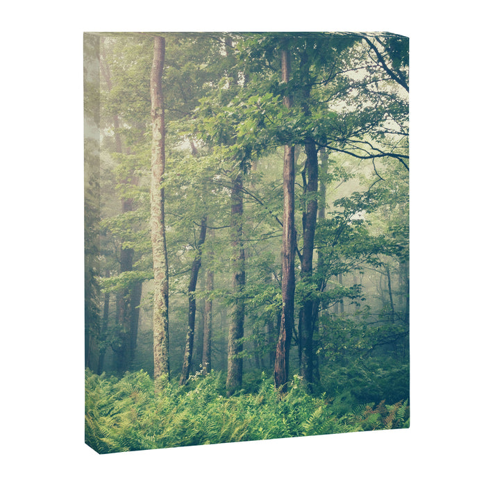 Inner Peace Canvas Print Gallery Image 1