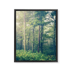 Inner Peace Framed Canvas Print Gallery Image 8